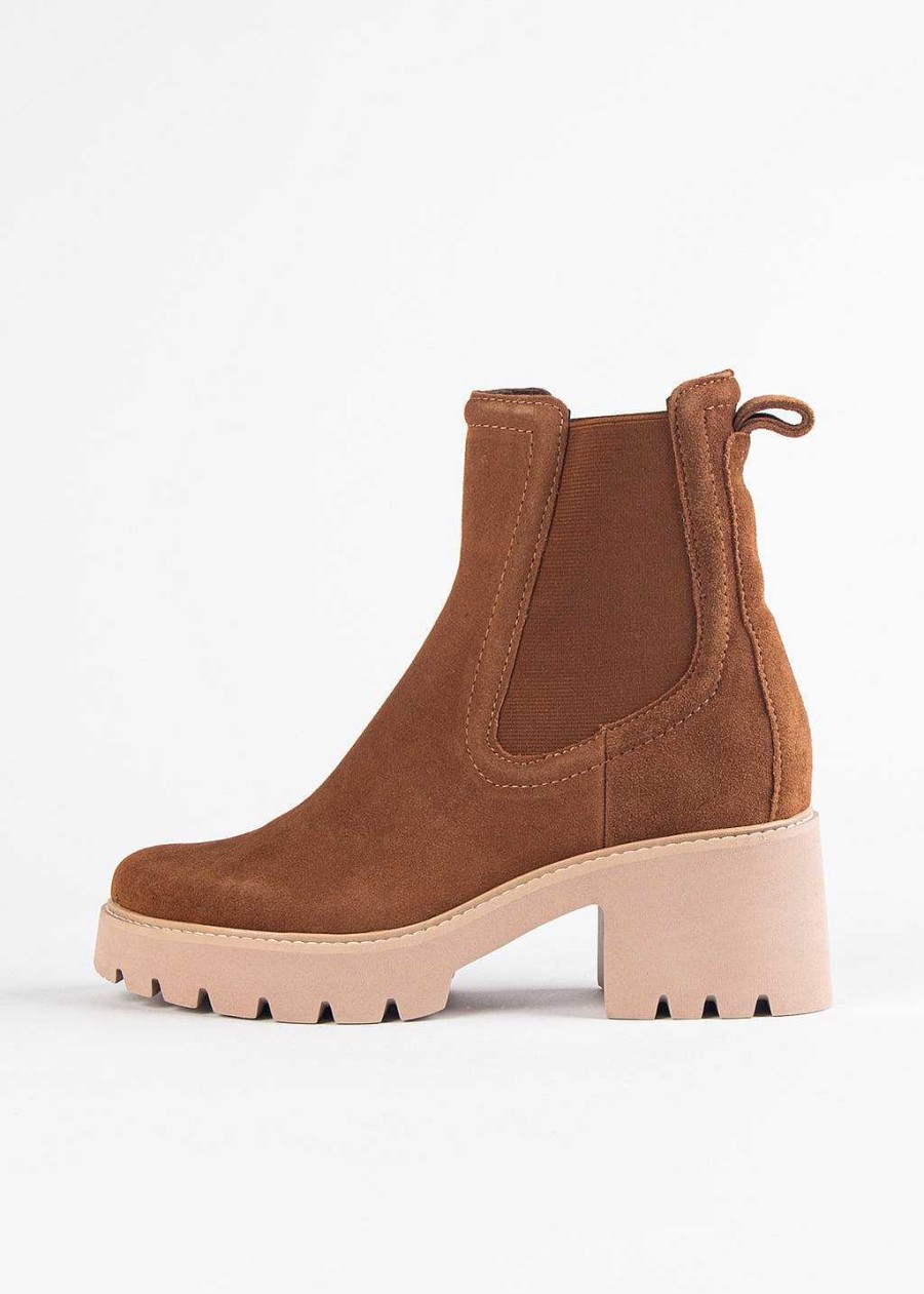 Shoes Dolce Vita | Hawk Waterproof Chelsea Boot Brown Suede